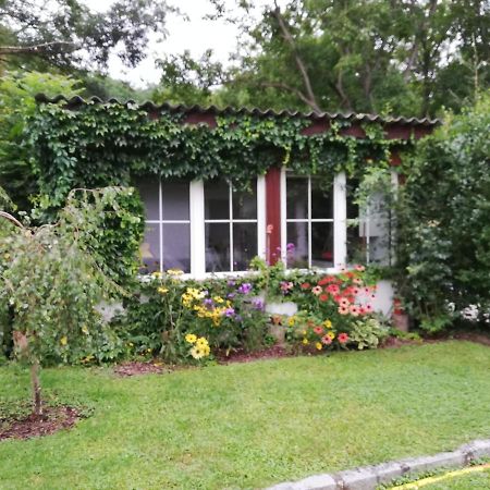 Ferienhaeuschen Gruber Villa Loosdorf Buitenkant foto