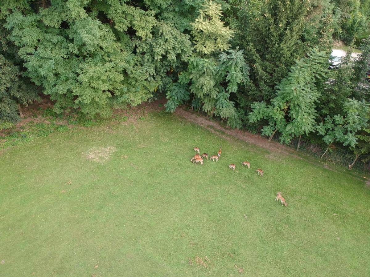 Ferienhaeuschen Gruber Villa Loosdorf Buitenkant foto